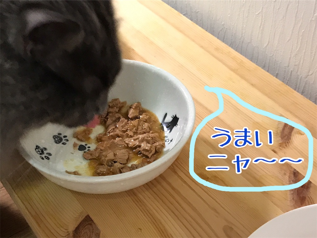 f:id:bellbelona39:20181008232749j:image f:id:bellbelona39:20181008232749j:image
