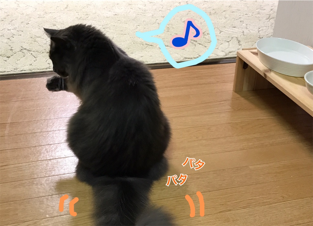 f:id:bellbelona39:20181008232751j:image f:id:bellbelona39:20181008232751j:image