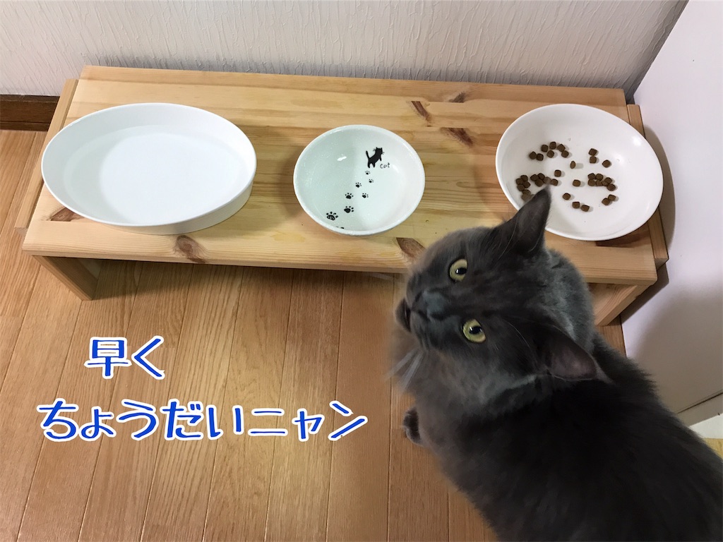 f:id:bellbelona39:20181008232758j:image f:id:bellbelona39:20181008232758j:image