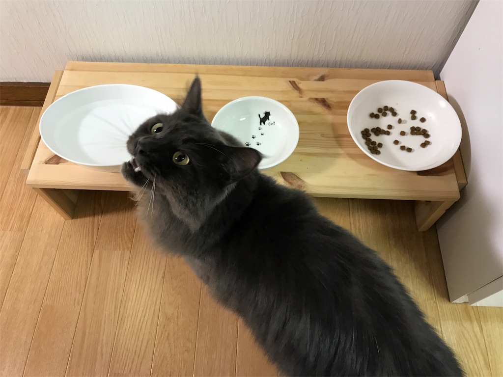 f:id:bellbelona39:20181008232802j:image f:id:bellbelona39:20181008232802j:image