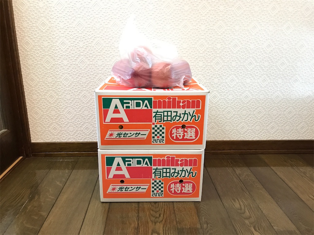 f:id:bellbelona39:20181214211405j:image