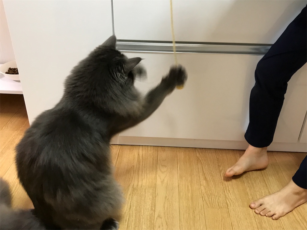 f:id:bellbelona39:20190102171854j:image f:id:bellbelona39:20190102171854j:image