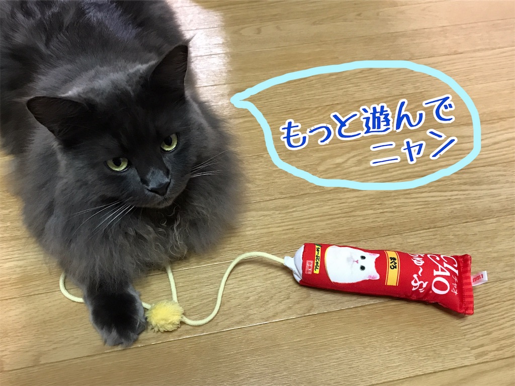 f:id:bellbelona39:20190102172452j:image f:id:bellbelona39:20190102172452j:image
