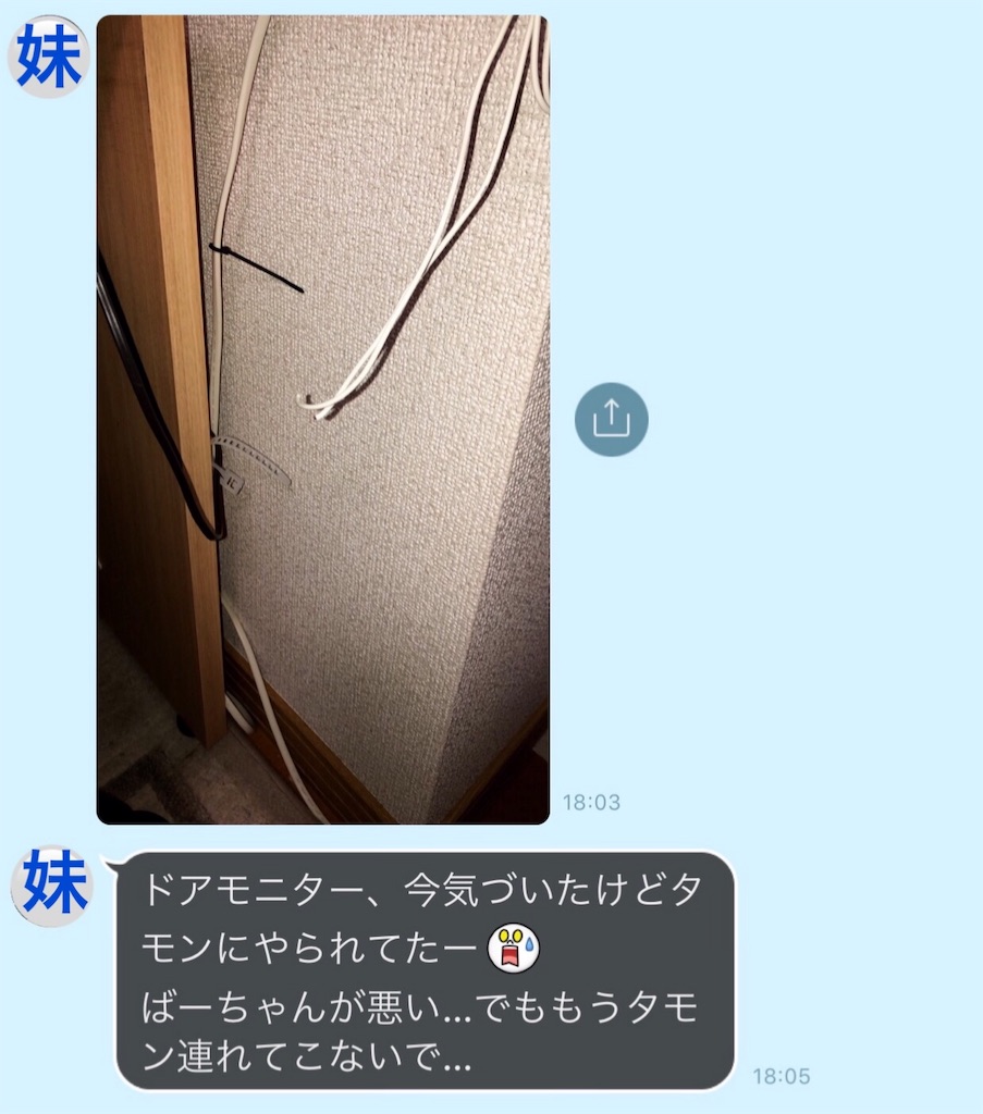 f:id:bellbelona39:20190108202852j:image