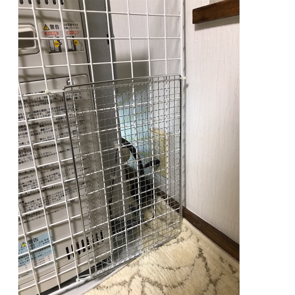 f:id:bellbelona39:20190108203121j:image