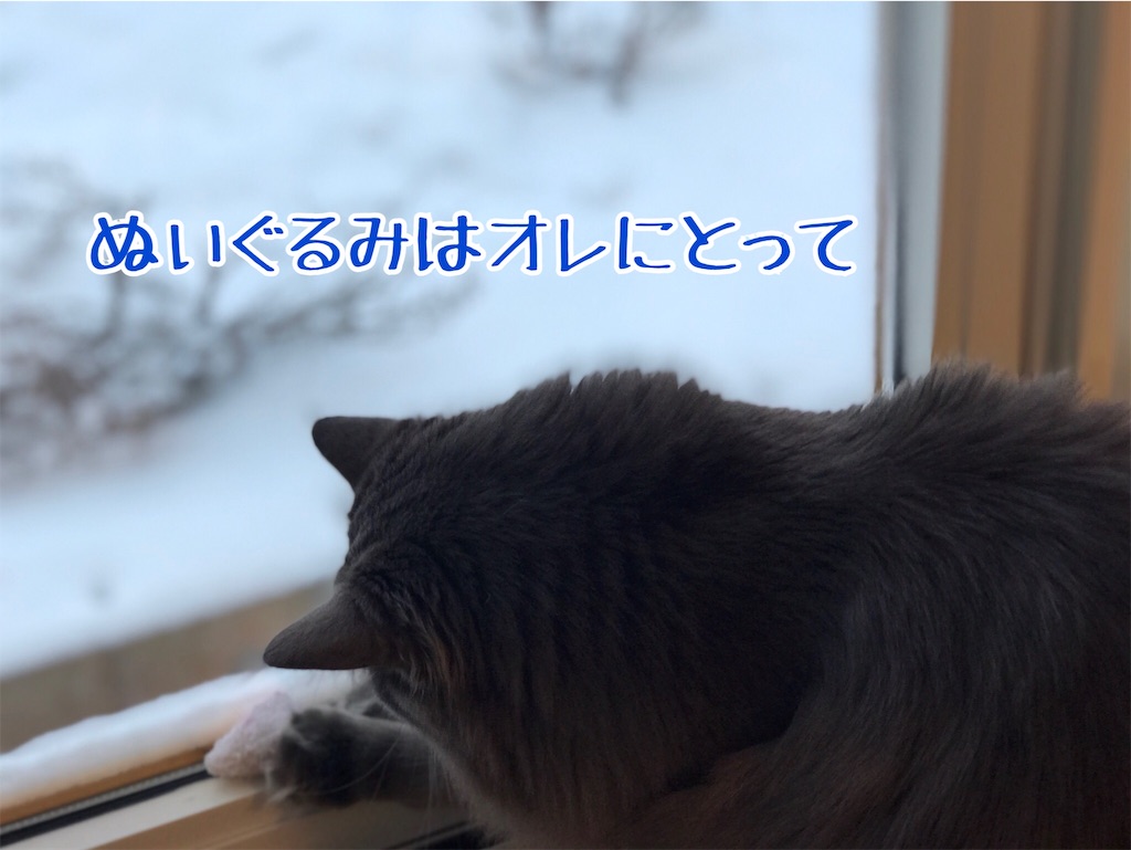 f:id:bellbelona39:20190111100616j:image