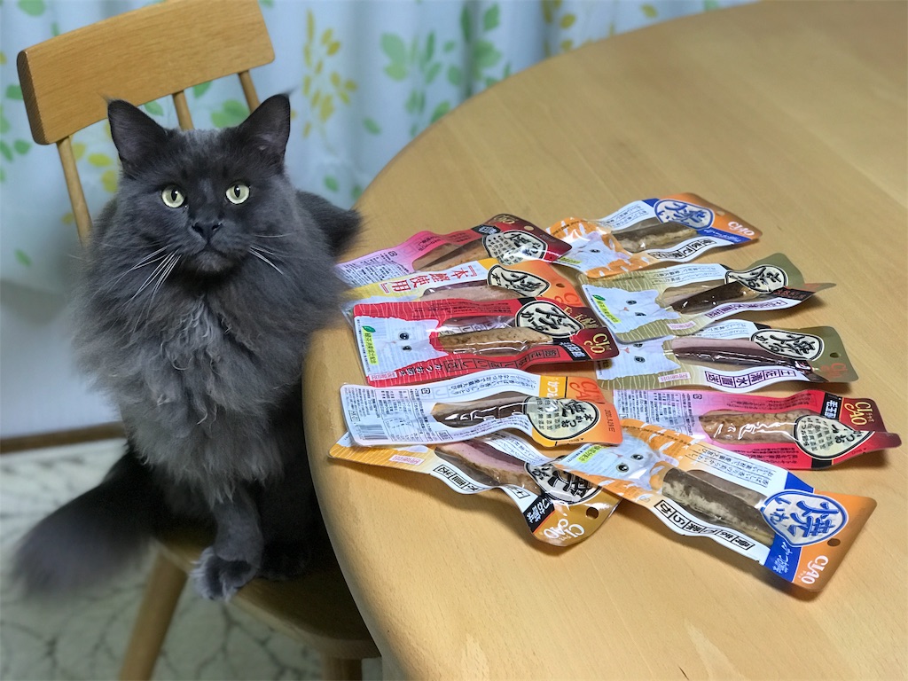 f:id:bellbelona39:20190119212045j:image