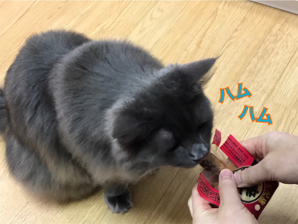 f:id:bellbelona39:20190119212839j:image