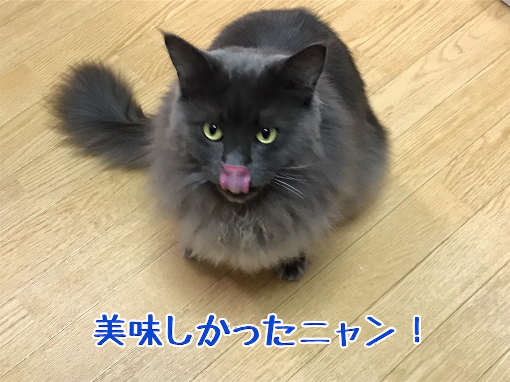 f:id:bellbelona39:20190119212900j:image