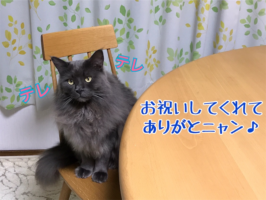 f:id:bellbelona39:20190119212936j:image
