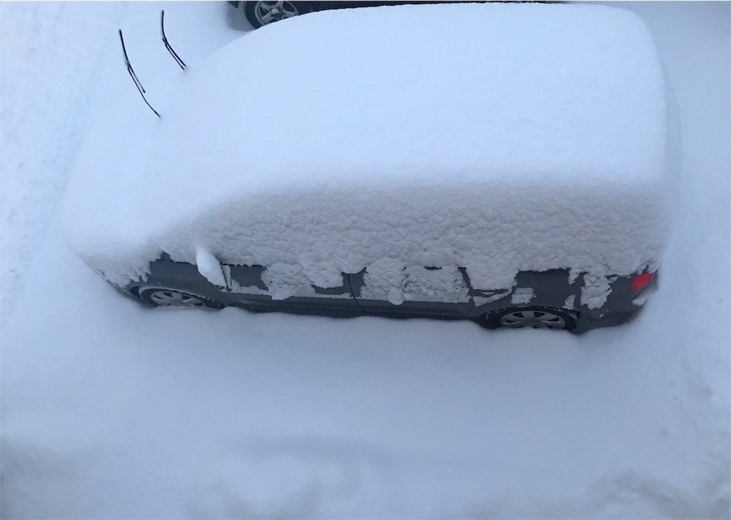 f:id:bellbelona39:20190125201618j:image