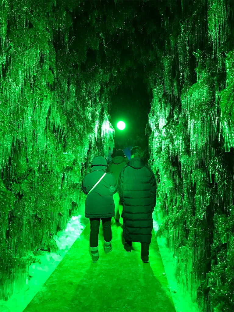 f:id:bellbelona39:20190126223809j:image