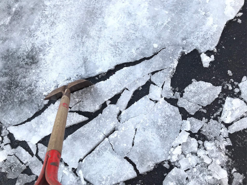 f:id:bellbelona39:20190204125406j:image