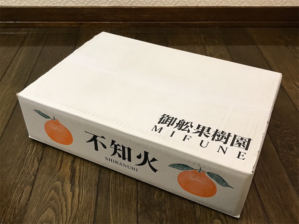 f:id:bellbelona39:20190220200540j:image f:id:bellbelona39:20190220200540j:image