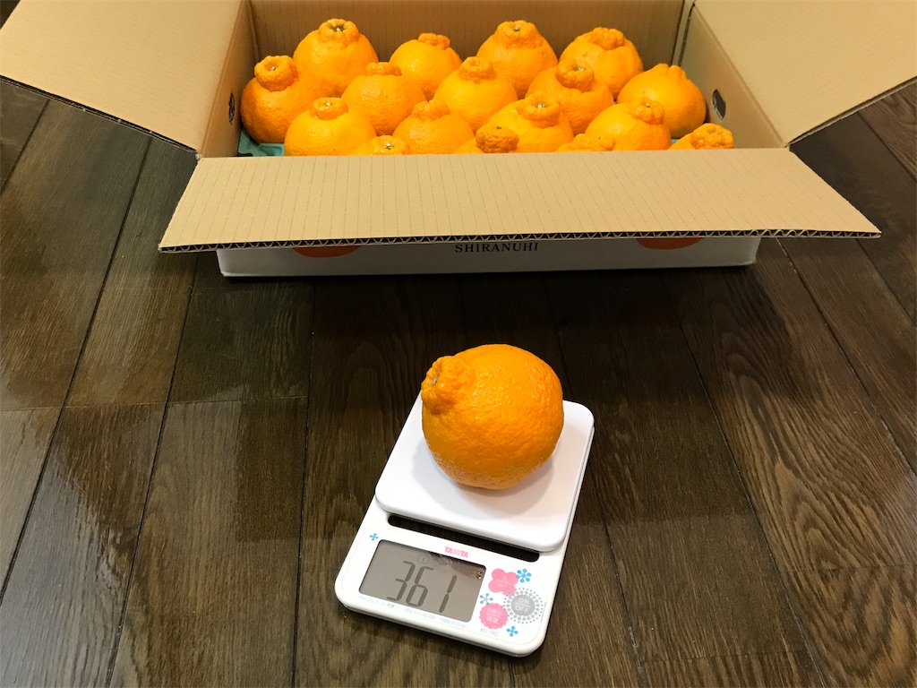 f:id:bellbelona39:20190220220207j:image f:id:bellbelona39:20190220220207j:image