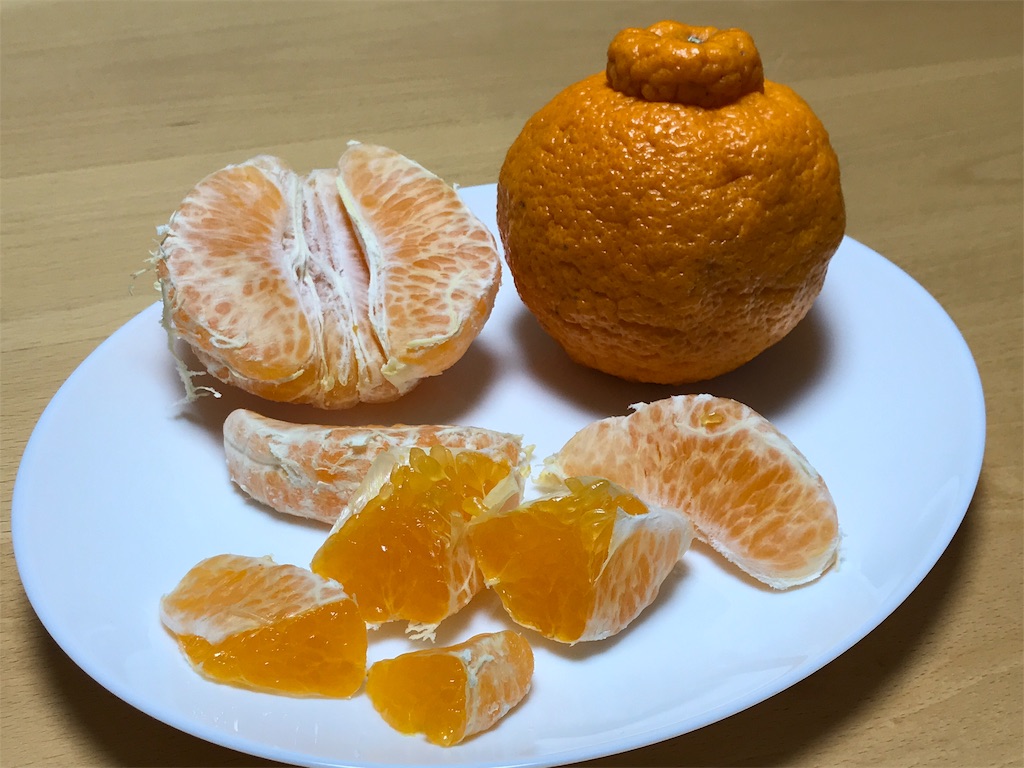 f:id:bellbelona39:20190220220313j:image f:id:bellbelona39:20190220220313j:image