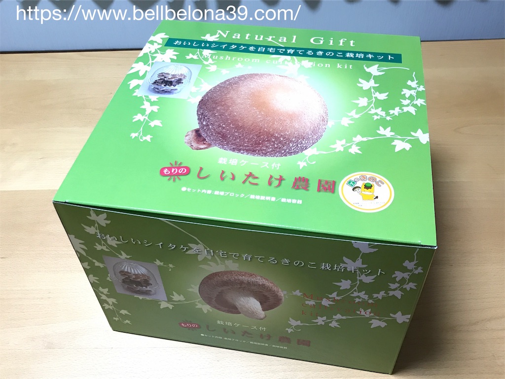 f:id:bellbelona39:20190302002823j:image