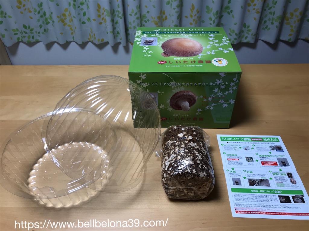f:id:bellbelona39:20190302002837j:image