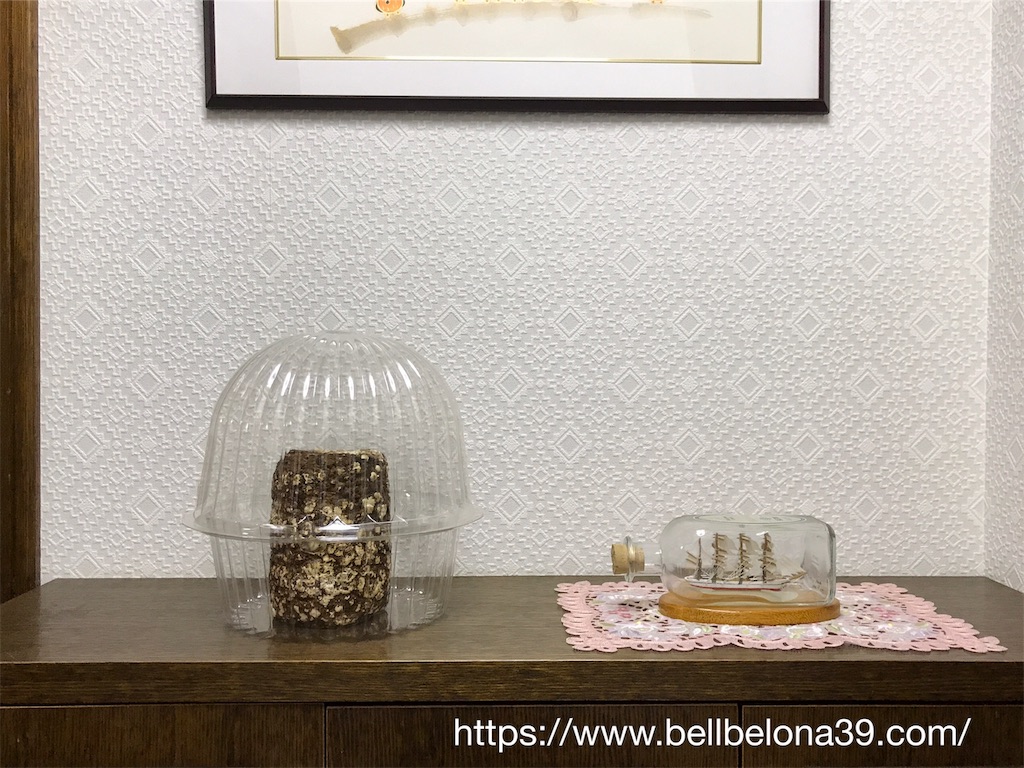 f:id:bellbelona39:20190302002934j:image