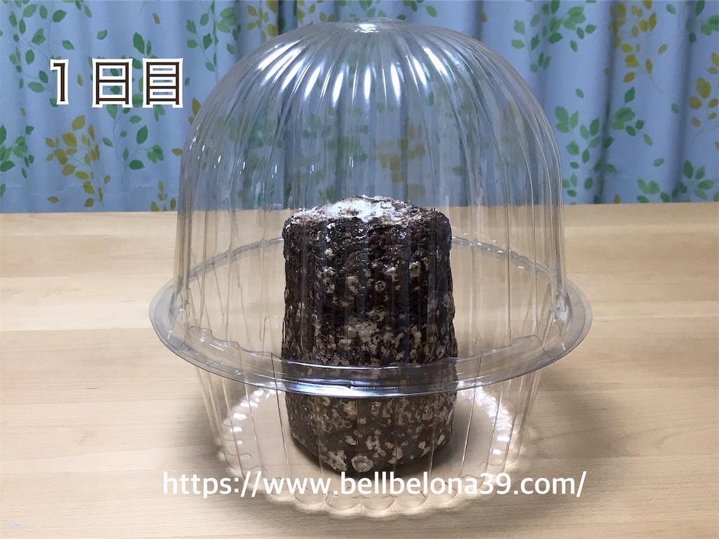 f:id:bellbelona39:20190302003014j:image