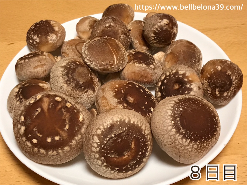 f:id:bellbelona39:20190302004629j:image