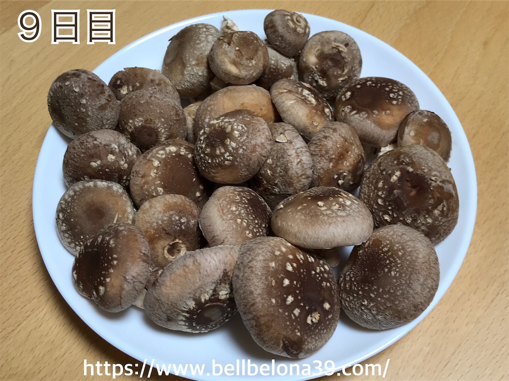 f:id:bellbelona39:20190302005242j:image