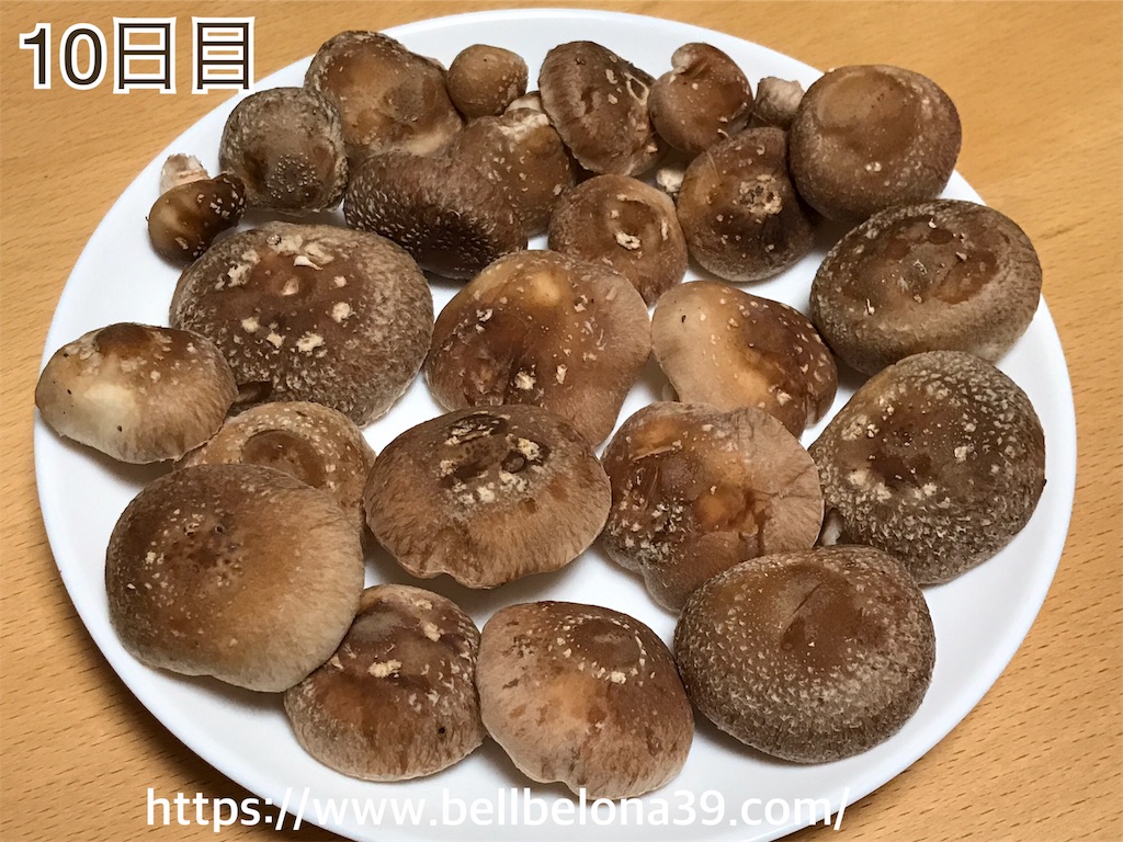 f:id:bellbelona39:20190302005514j:image