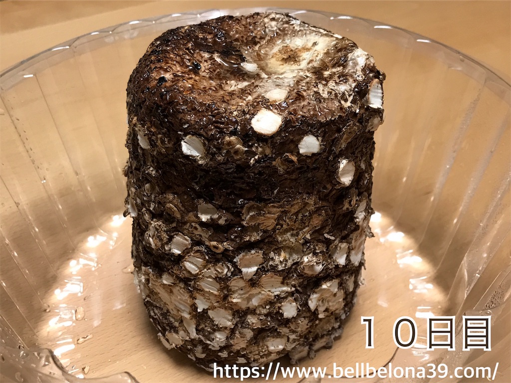 f:id:bellbelona39:20190302005612j:image