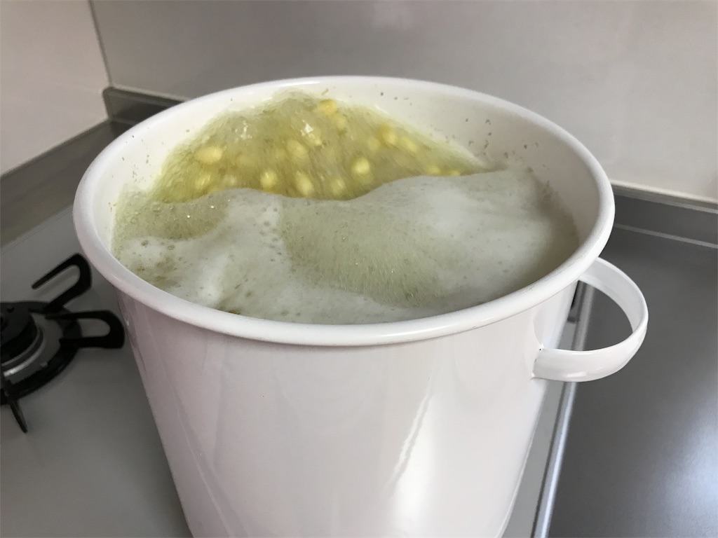 f:id:bellbelona39:20190318105348j:image