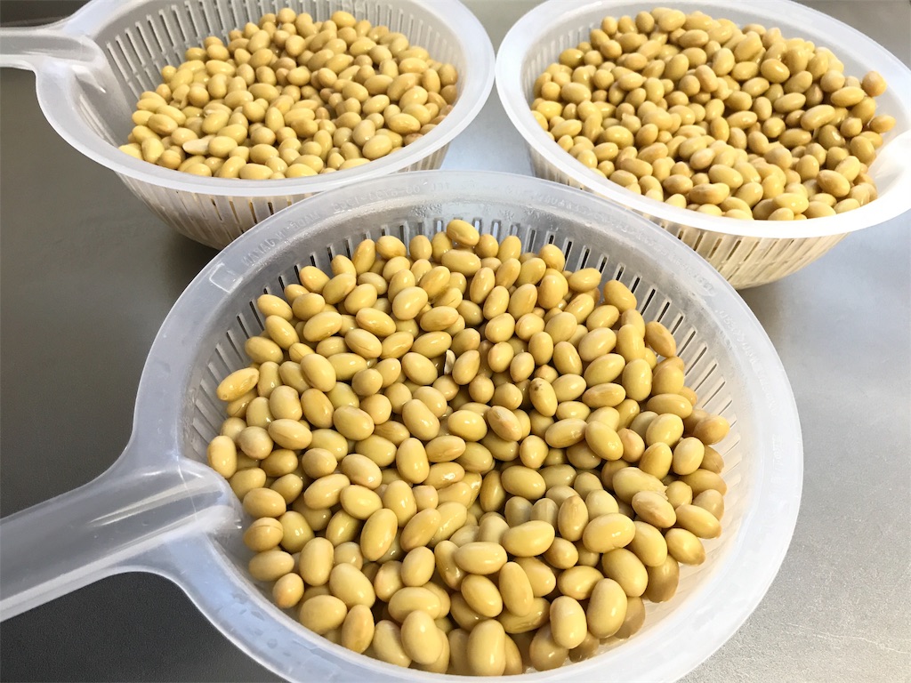 f:id:bellbelona39:20190318105441j:image