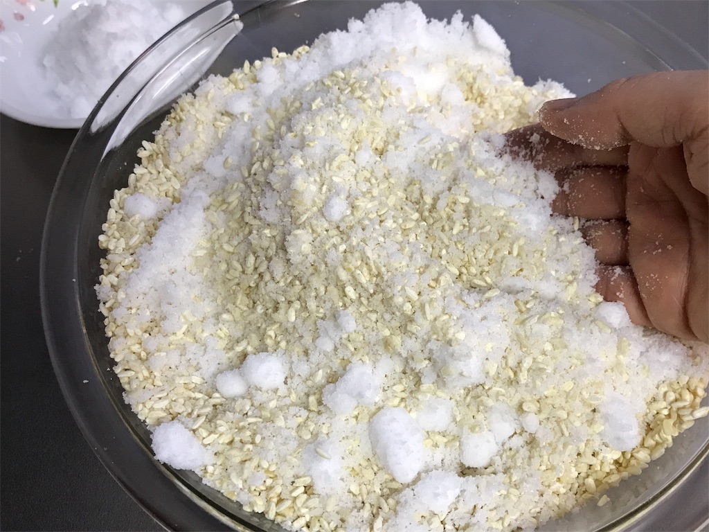 f:id:bellbelona39:20190318105517j:image