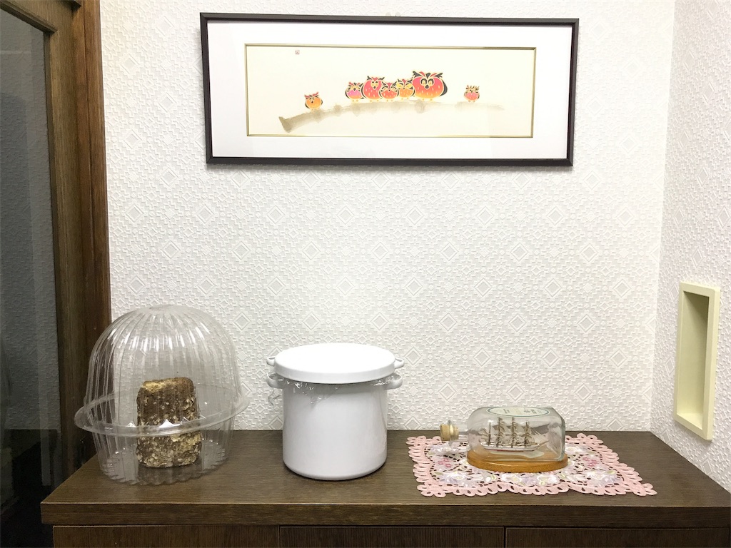 f:id:bellbelona39:20190318215237j:image