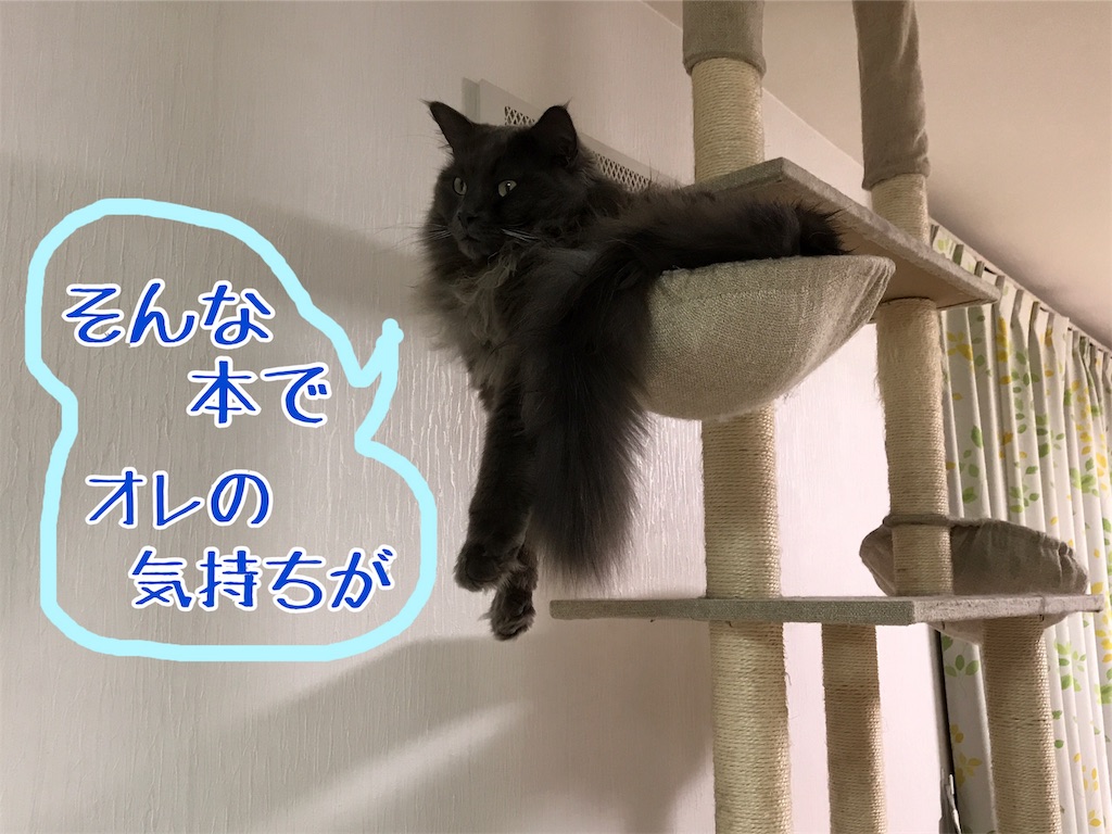 f:id:bellbelona39:20190328211224j:image f:id:bellbelona39:20190328211224j:image