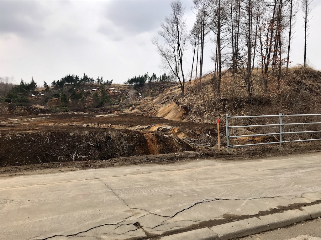 f:id:bellbelona39:20190331175131j:image