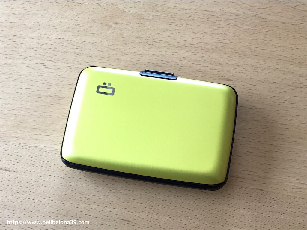 f:id:bellbelona39:20190619132927j:image