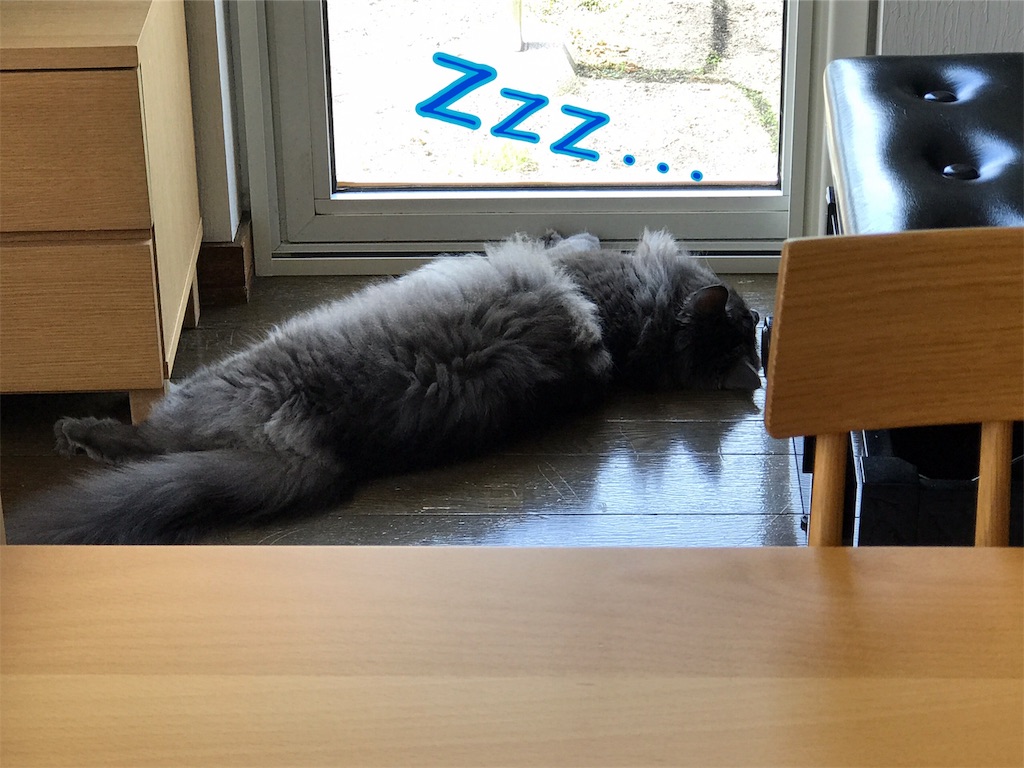 f:id:bellbelona39:20190624131440j:image f:id:bellbelona39:20190624131440j:image