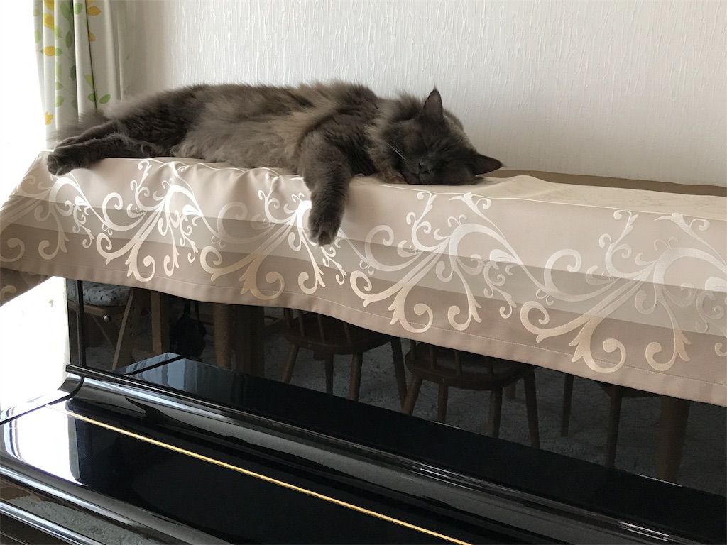 f:id:bellbelona39:20190624131641j:image f:id:bellbelona39:20190624131641j:image