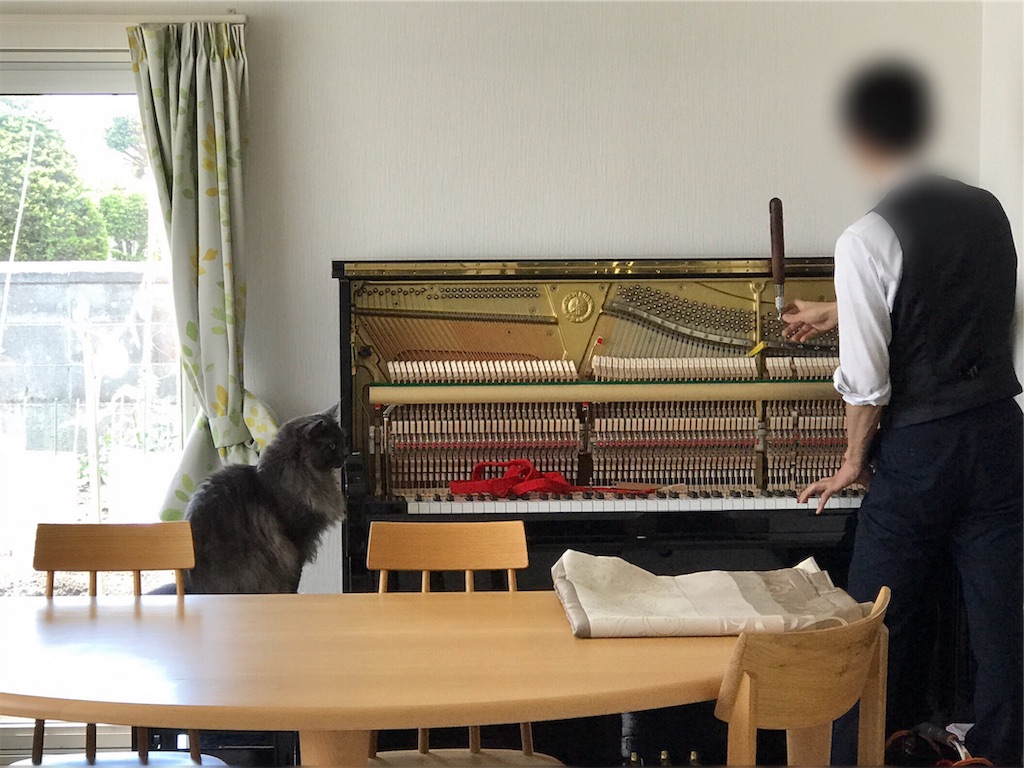 f:id:bellbelona39:20190624131744j:image f:id:bellbelona39:20190624131744j:image