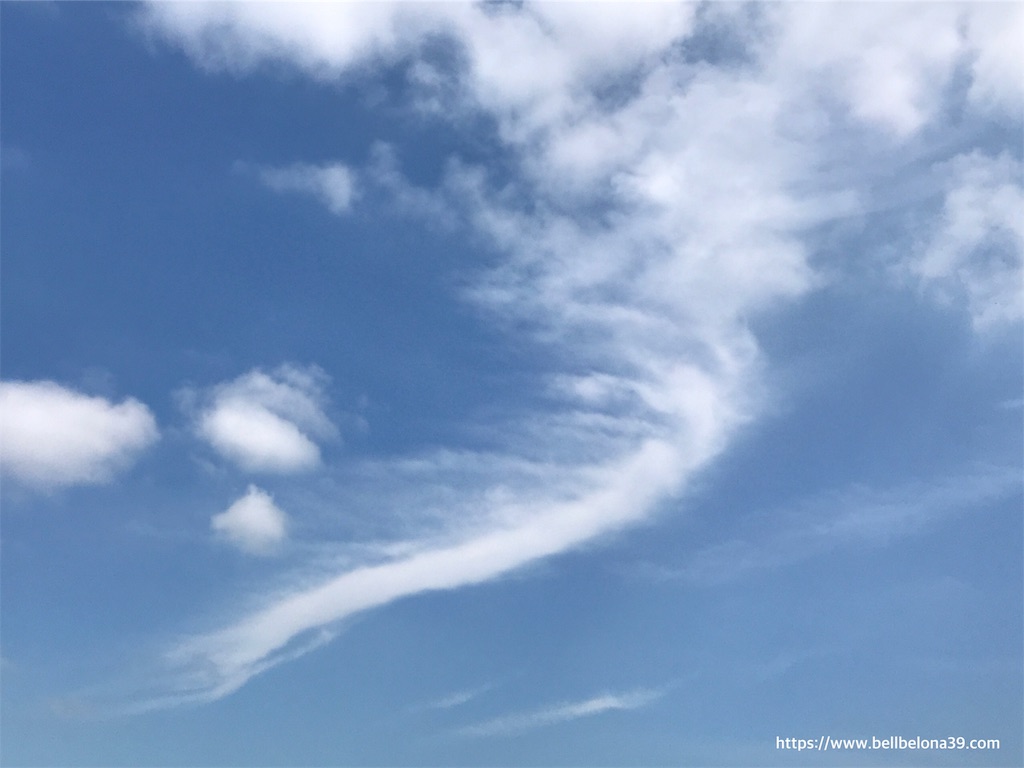 f:id:bellbelona39:20190703200225j:image f:id:bellbelona39:20190703200225j:image