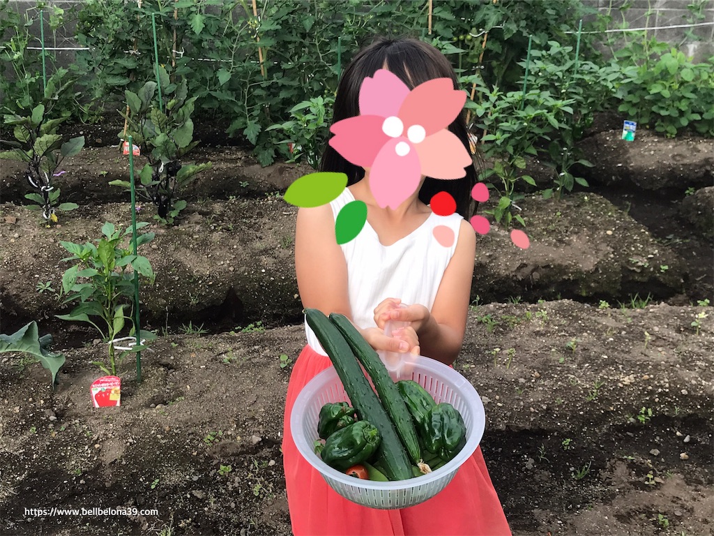 f:id:bellbelona39:20190731225023j:image f:id:bellbelona39:20190731225023j:image