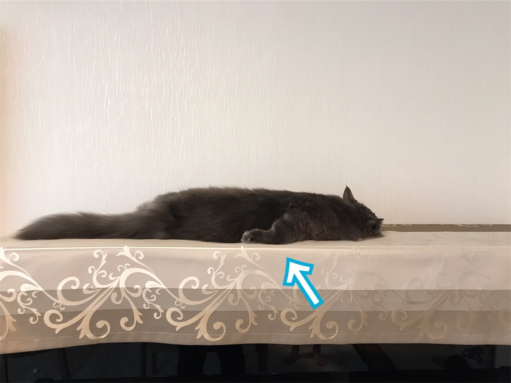 f:id:bellbelona39:20190816160941j:image f:id:bellbelona39:20190816160941j:image