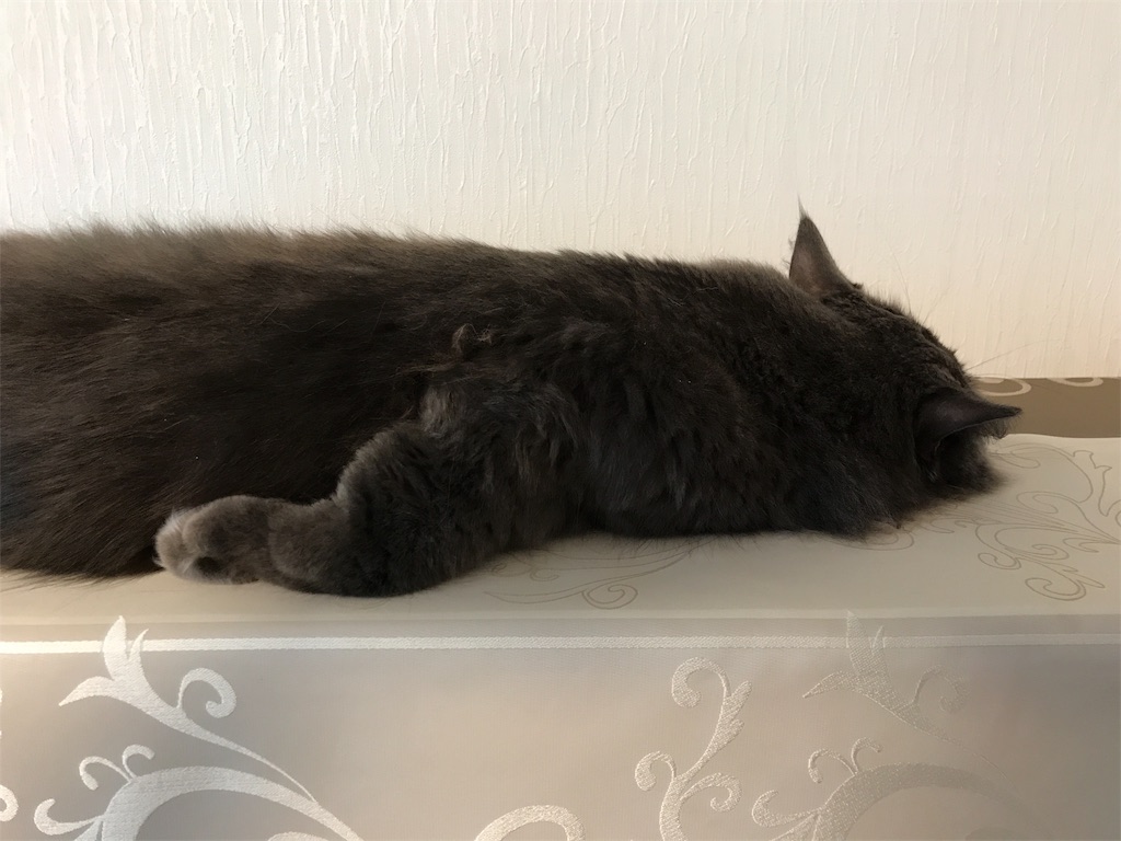f:id:bellbelona39:20190816161046j:image f:id:bellbelona39:20190816161046j:image