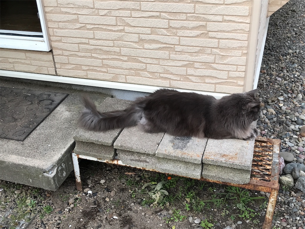 f:id:bellbelona39:20190904125032j:image f:id:bellbelona39:20190904125032j:image