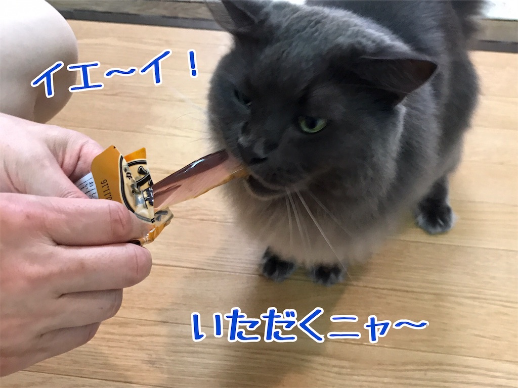 f:id:bellbelona39:20190904130459j:image f:id:bellbelona39:20190904130459j:image