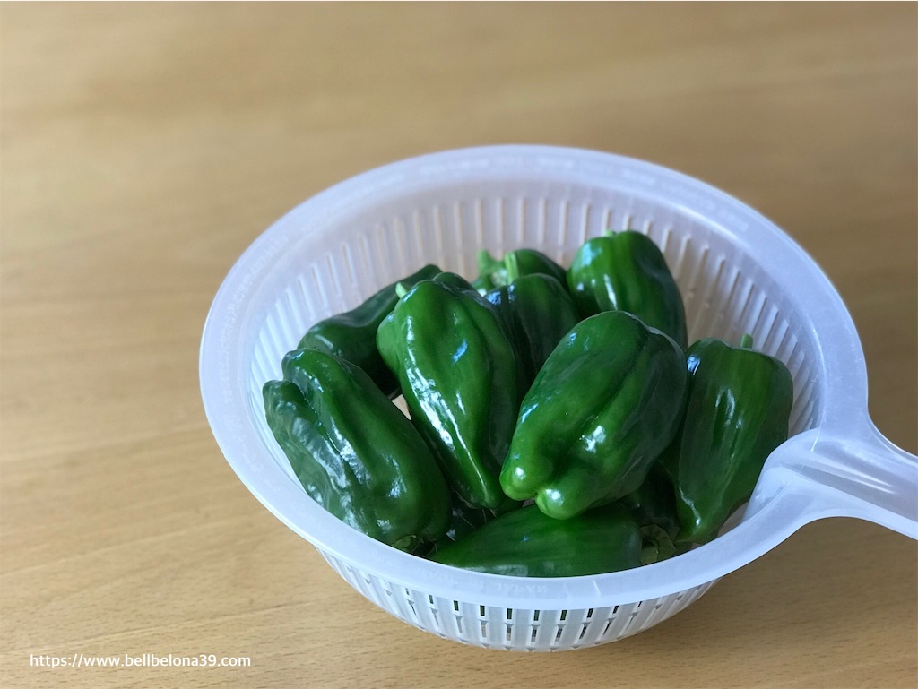 f:id:bellbelona39:20190919100441j:image