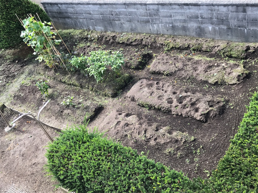 f:id:bellbelona39:20190919101834j:image