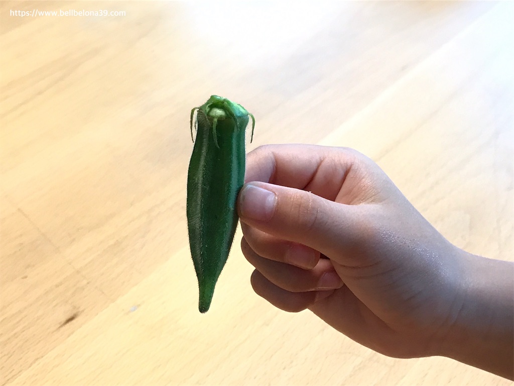 f:id:bellbelona39:20190919200740j:image