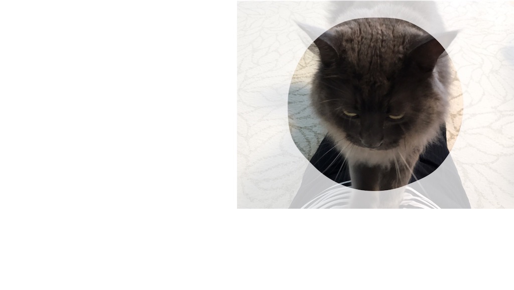 f:id:bellbelona39:20190921000256j:image