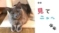 20190926093831