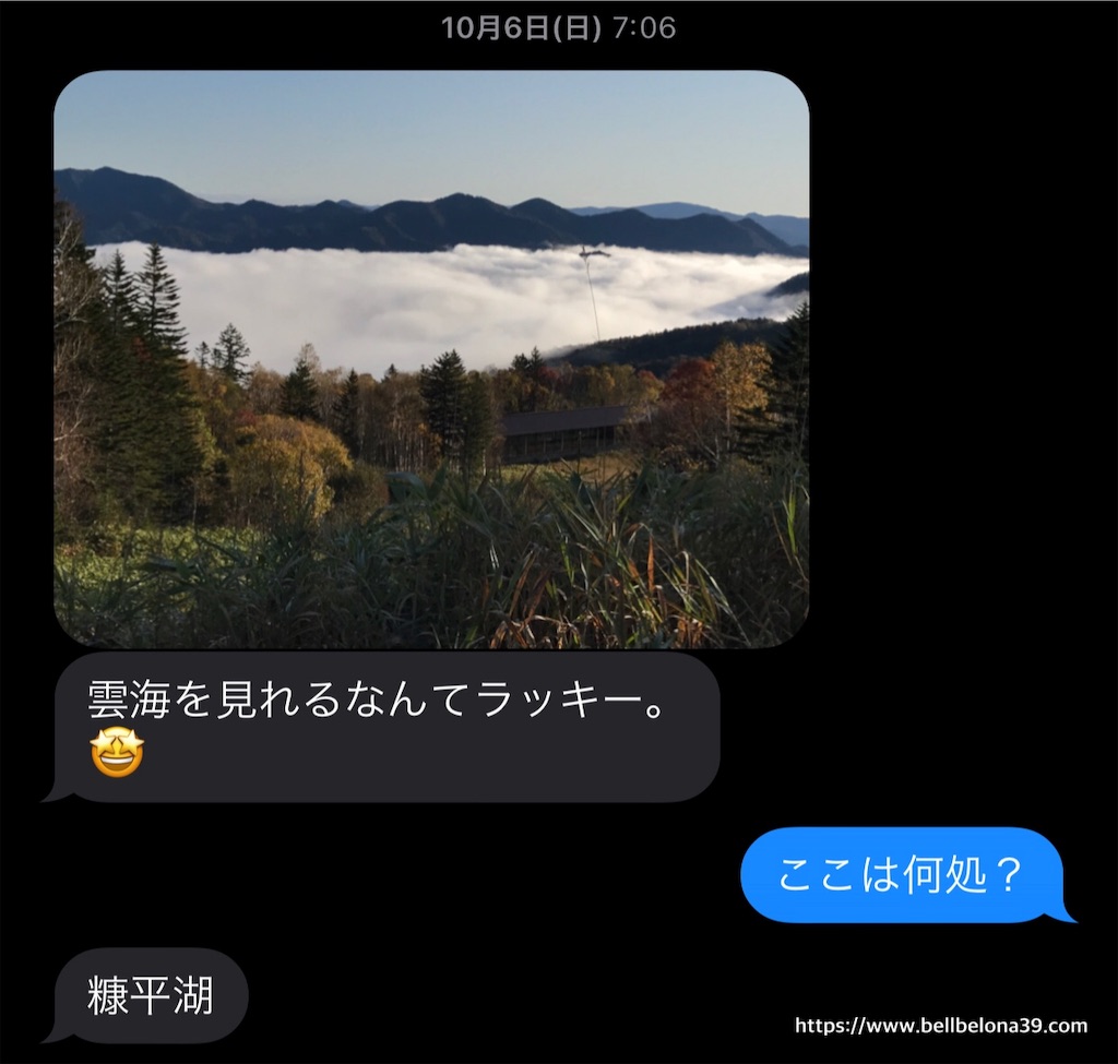 f:id:bellbelona39:20191103165327j:image